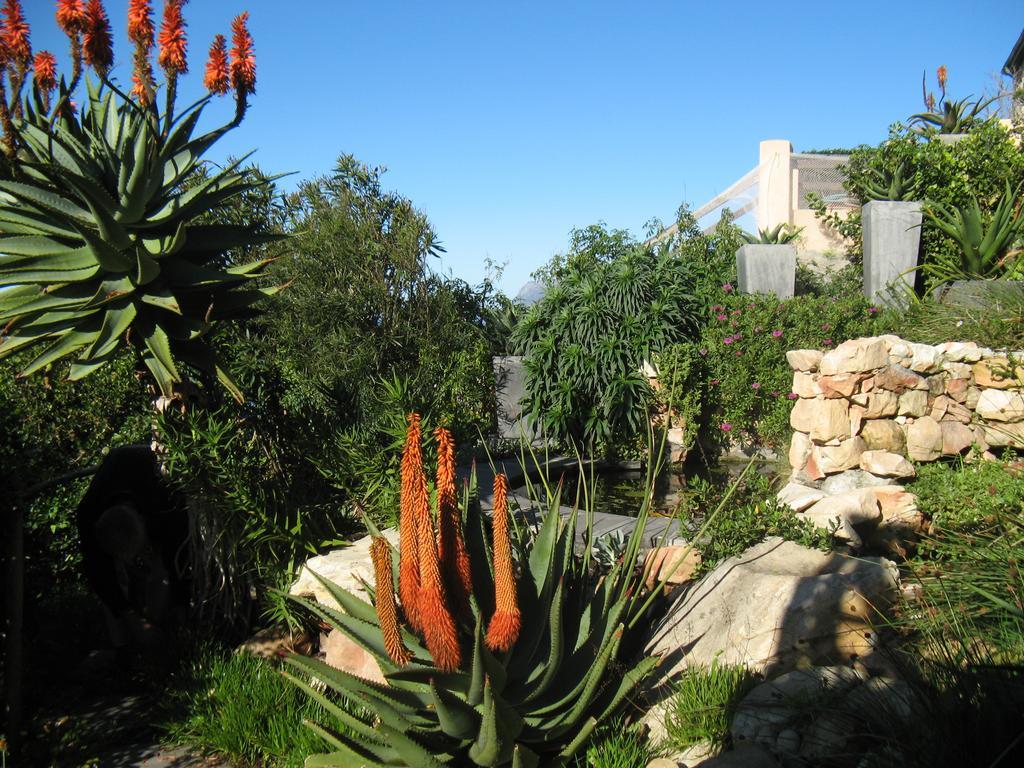 Seaview Apartment in Muizenberg Exterior foto